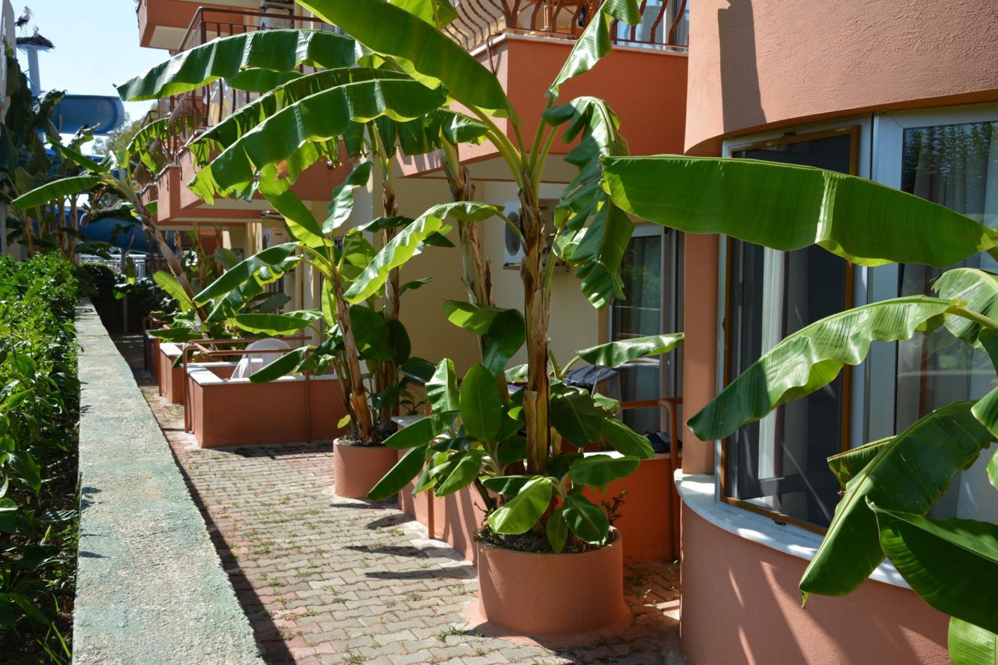 Hotel Yavuzhan Side