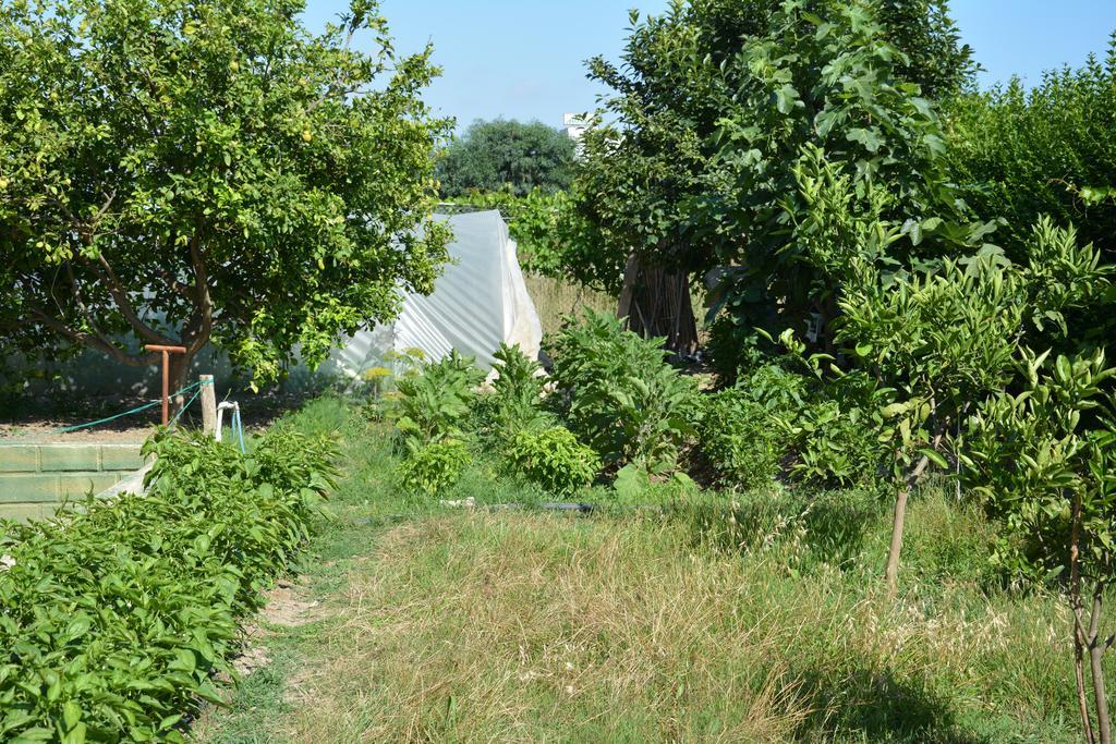 Hotel Yavuzhan Side